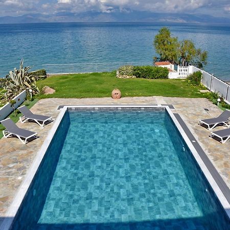 Antorina Beachfront Villas With Private Pools Kamari  Exterior foto